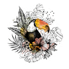 Toucan majestueux au c&oelig;ur de la jungle